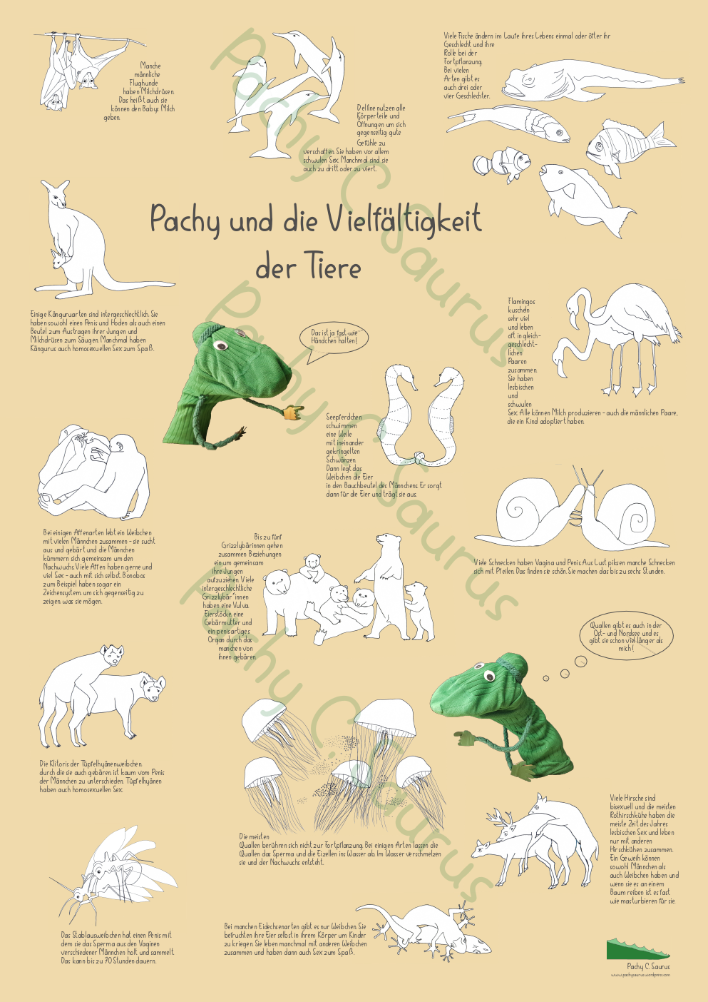 Poster Pachy und die Vielfältigkeit der Tiere